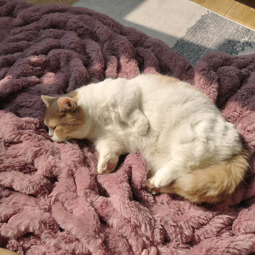 Letto per cani umani super grande e di lusso con coperta in peluche super morbida per animali domestici.