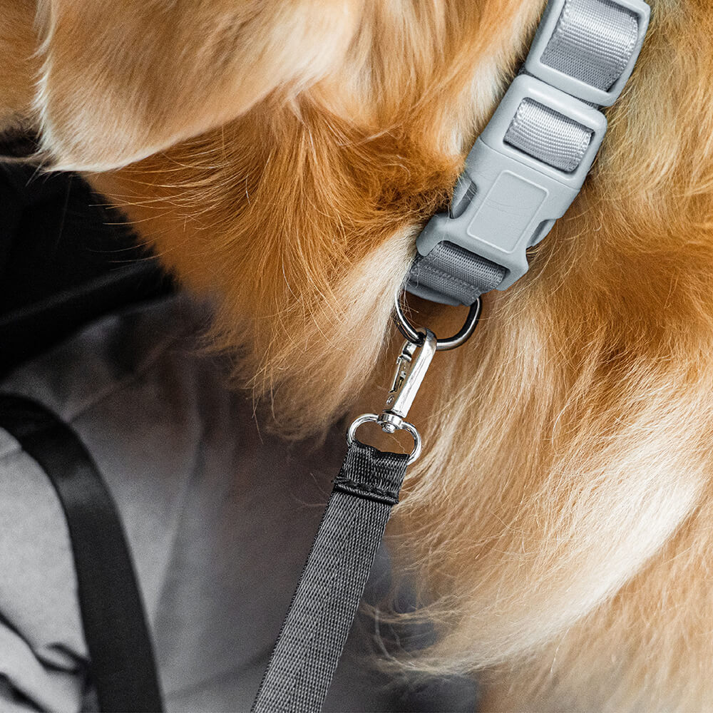 Cuscini di sicurezza per viaggi in auto per cani di taglia media e grande per il sedile posteriore.