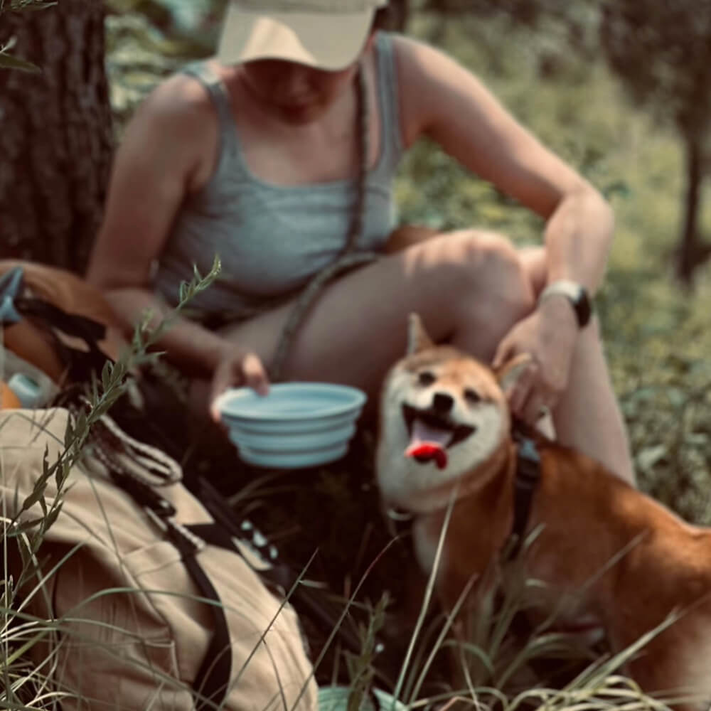 Zaino per cani da trekking all'aperto, ventilato e resistente