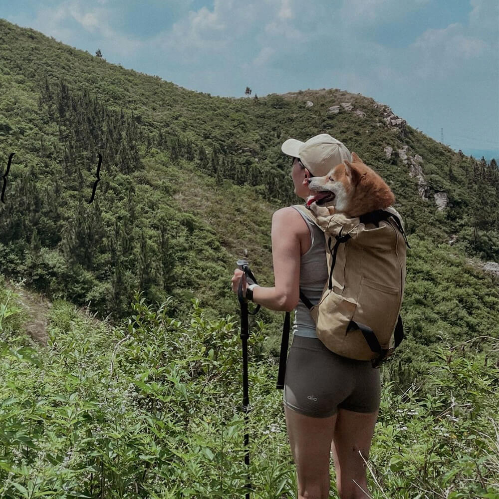 Zaino per cani da trekking all'aperto, ventilato e resistente