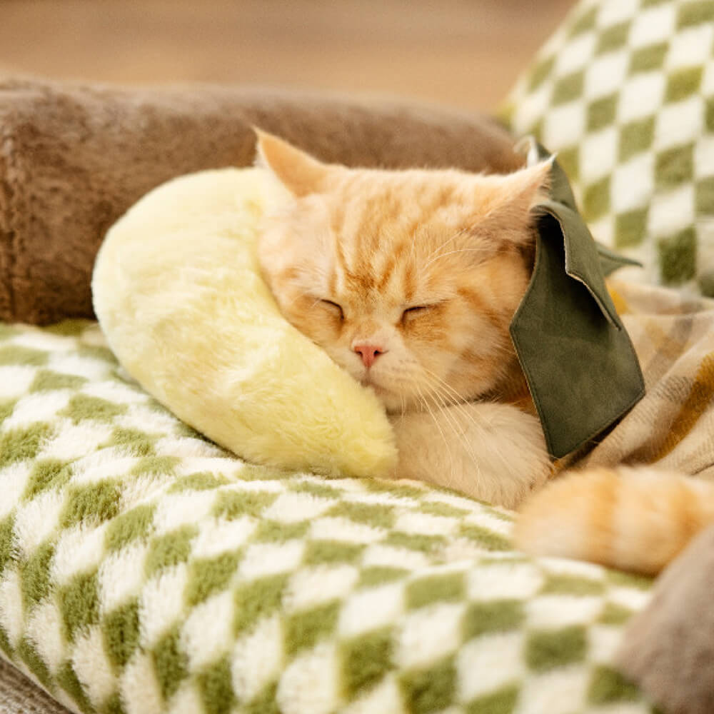 Cuscino per animali domestici carino e accogliente di moda