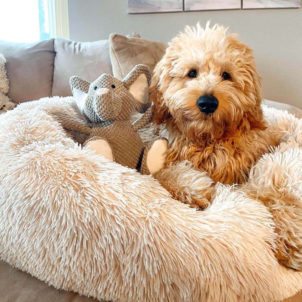 Letto per cani pelosi e morbidi a forma di ciambella
