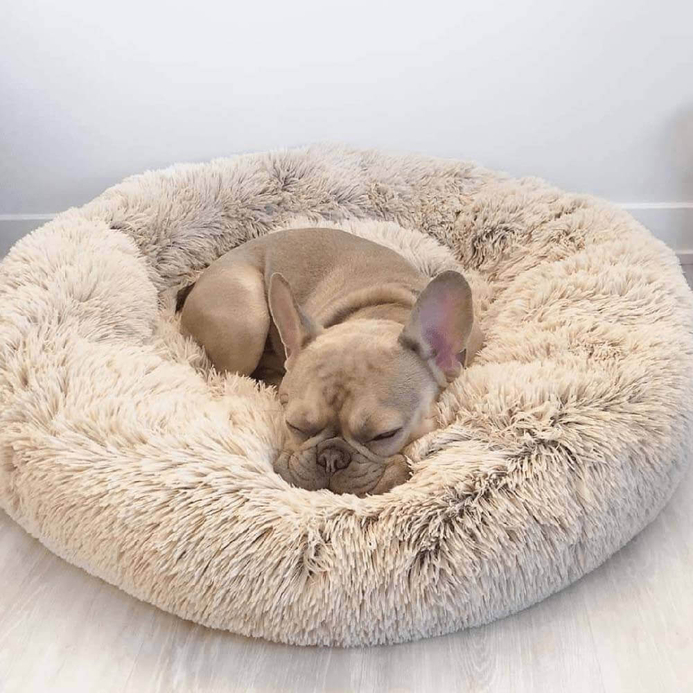 Letto per cani pelosi e morbidi a forma di ciambella