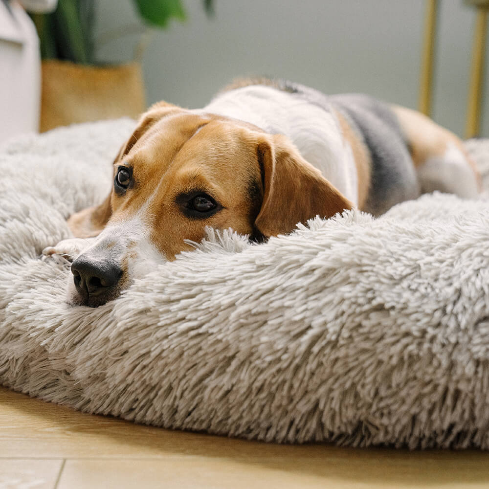 Letto per cani pelosi e morbidi a forma di ciambella