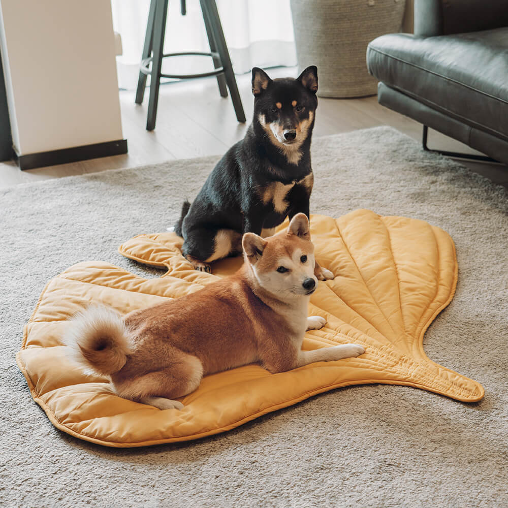 Coperta per cani a forma di foglia