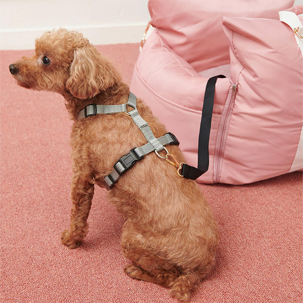Letto per auto impermeabile per cani - Prima Classe