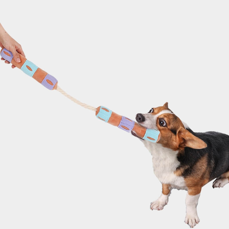 Distributore di dolcetti puzzle interattivo divertente per cani giocattolo squeaky