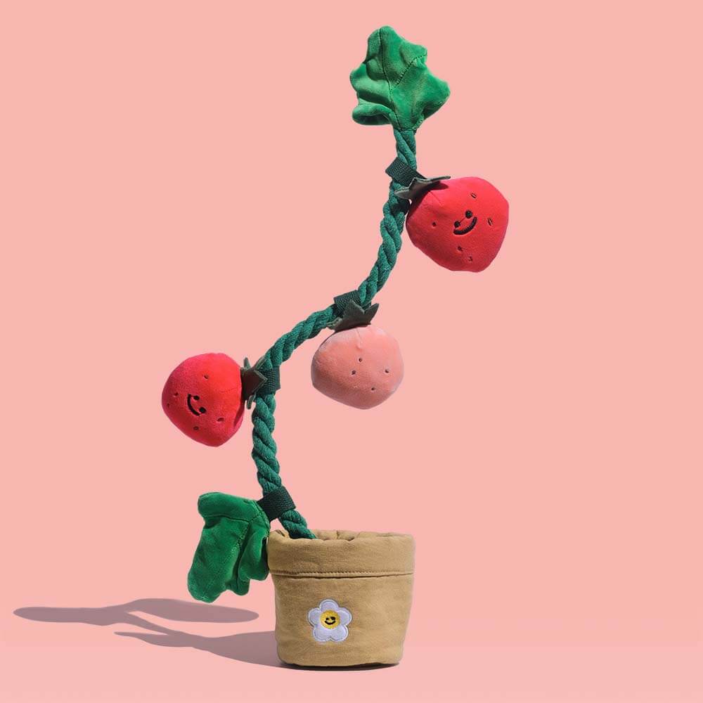 Giocattolo per cani di peluche con fischietto - Fragola in vaso