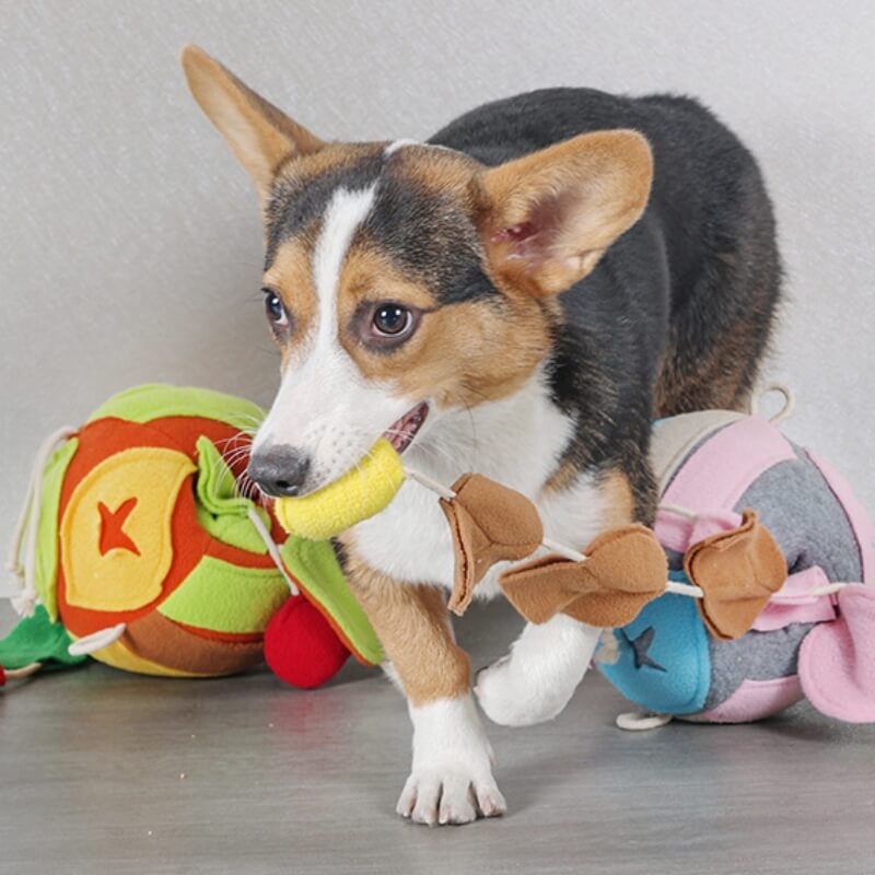 Gioco interattivo a forma di palla a foglia per cani con distribuitore di leccornie e suono sibilante.