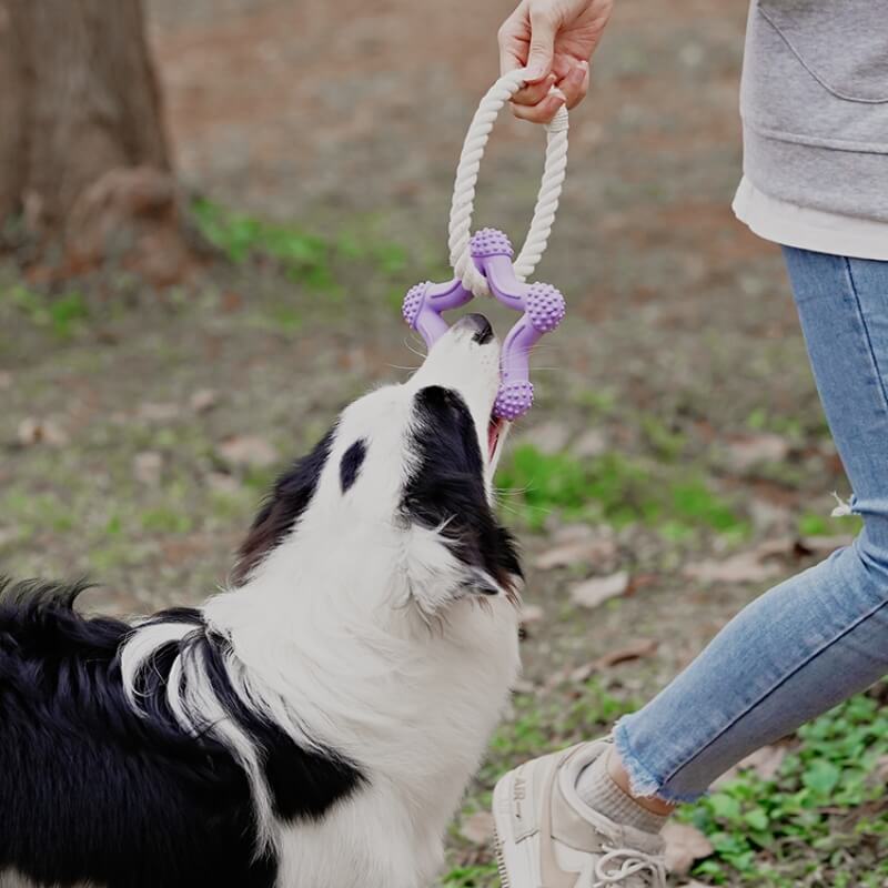 Gioco interattivo di tiro alla fune per cani, giocattolo in gomma per la pulizia dei denti