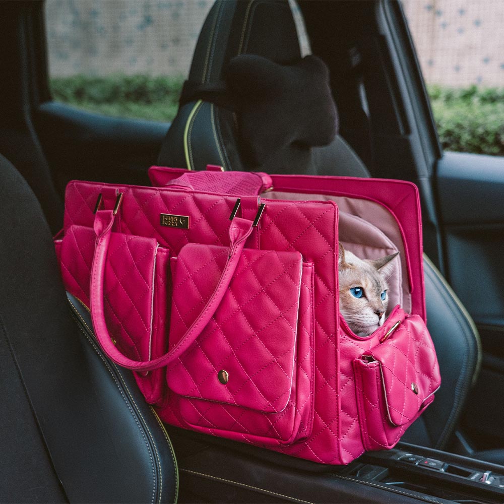 Borsa per gatti da viaggio multi-funzionale e alla moda, grande, condivisa tra umani e gatti - Coda vagabonda