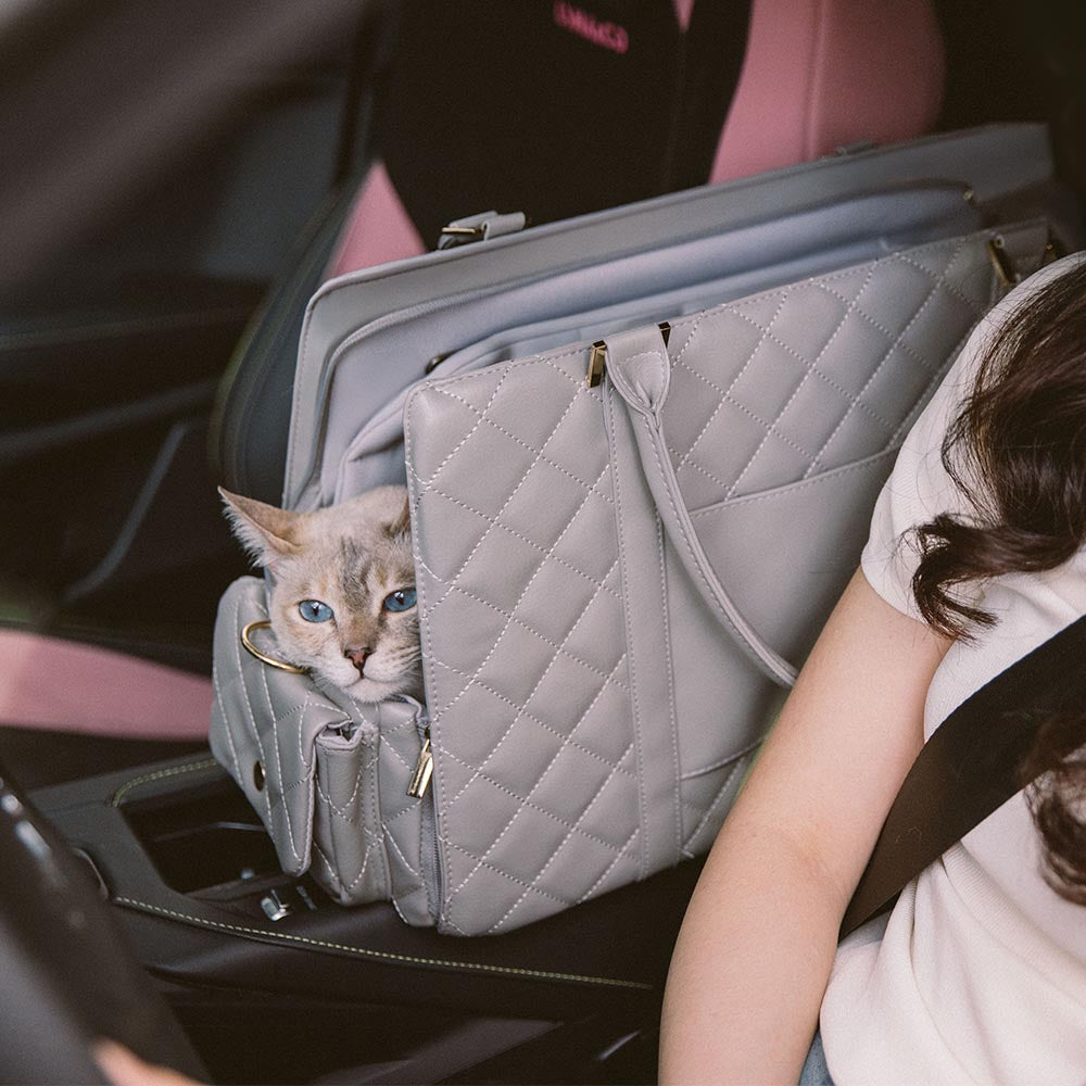 Borsa per gatti da viaggio multi-funzionale e alla moda, grande, condivisa tra umani e gatti - Coda vagabonda