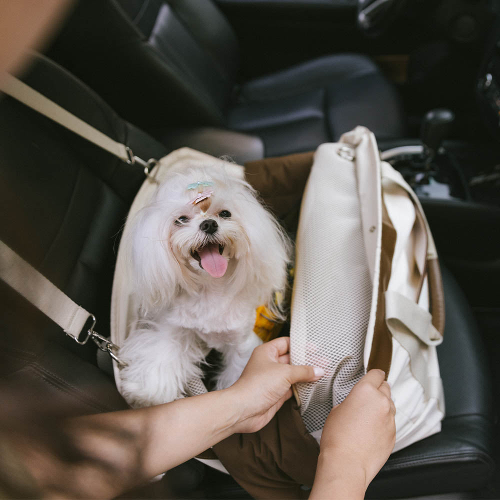 Ampio Seggiolino Auto per Cani Convertibile e Impermeabile - Urban Rover