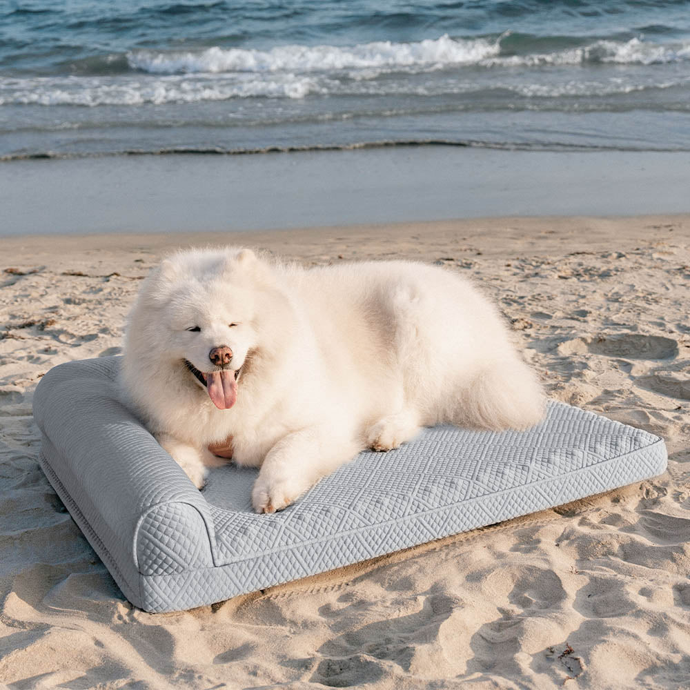 Letto ortopedico per cani grande, traspirante, non scivoloso