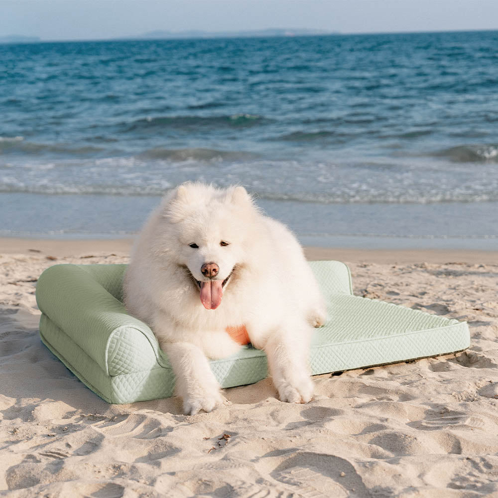 Letto ortopedico per cani grande, traspirante, non scivoloso