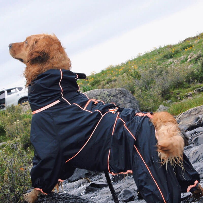 Giacca per cani grandi da esterno impermeabile, regolabile, mantella per la pioggia per cani.