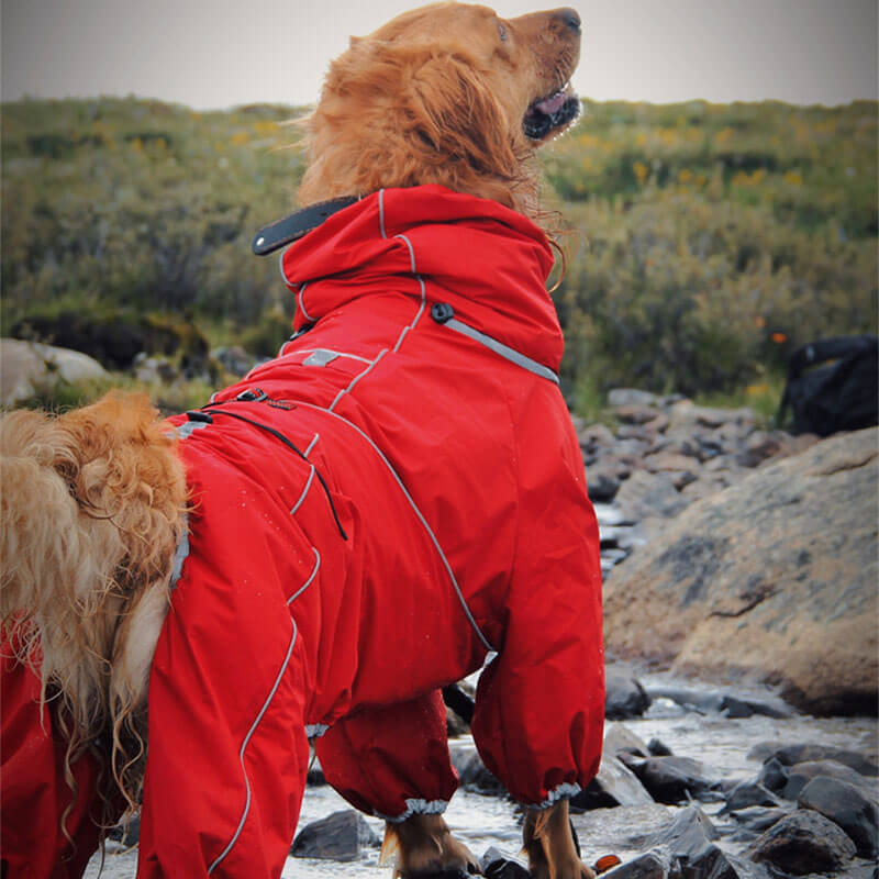 Giacca per cani grandi da esterno impermeabile, regolabile, mantella per la pioggia per cani.
