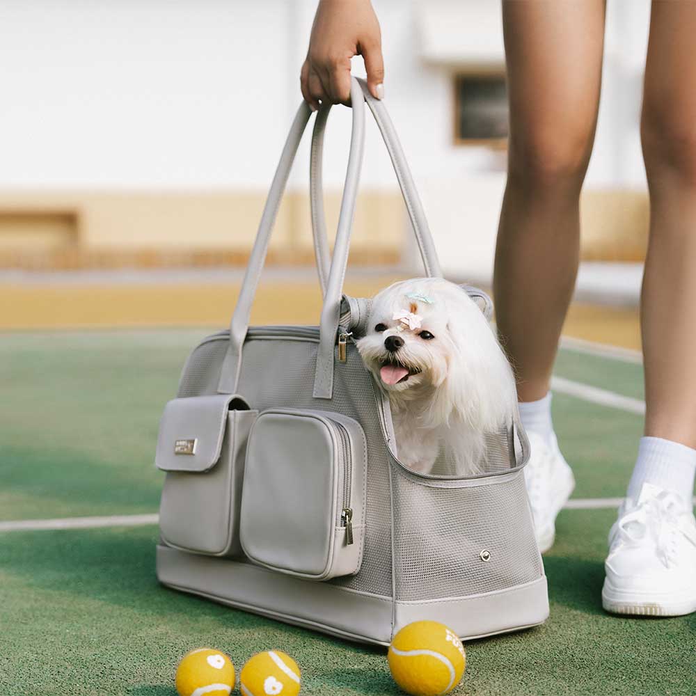 Trasportino per animali leggero e traspirante in rete - Urban Ease