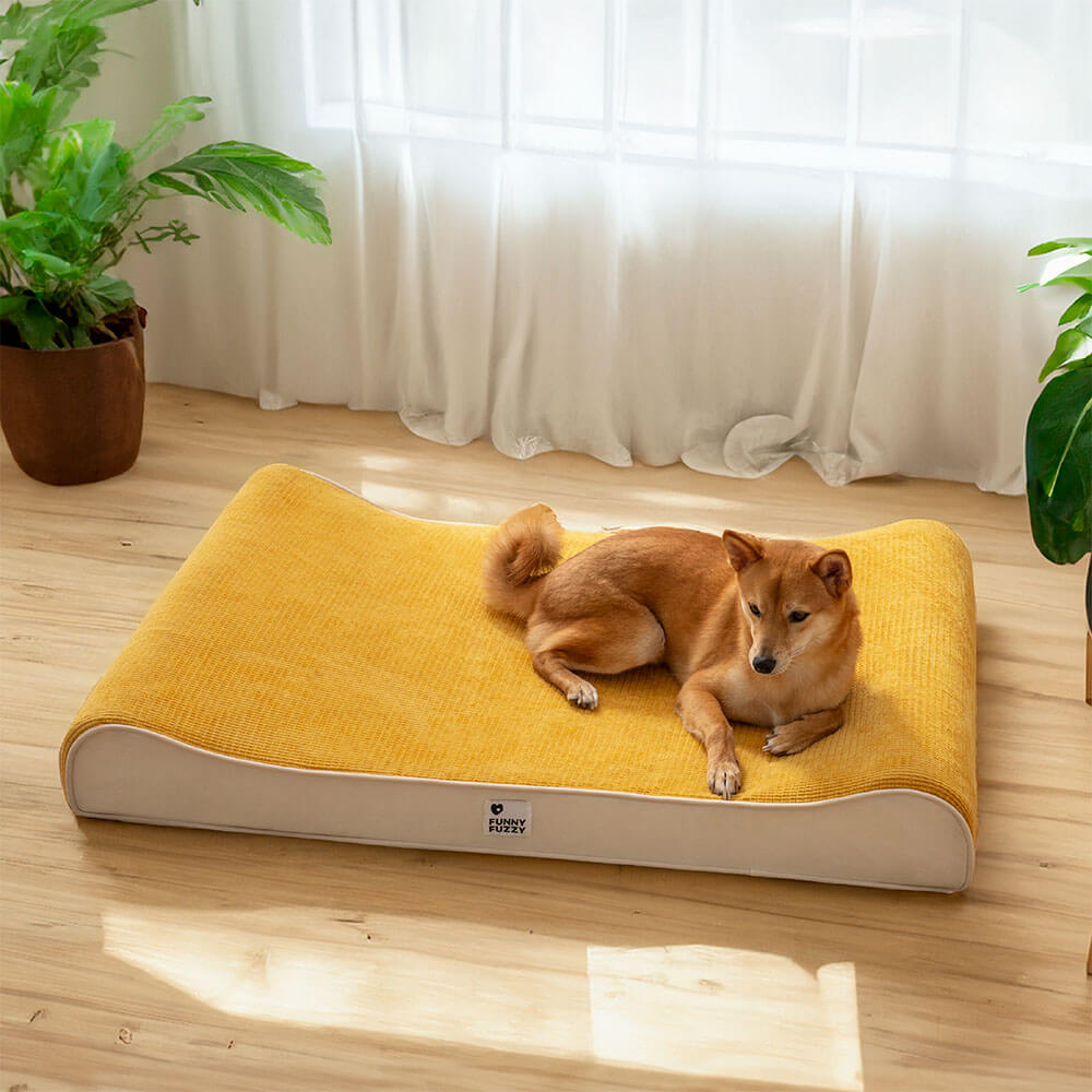Poltrona Lounge per Cani di Lusso Nobiltà Letto Ortopedico per Cani