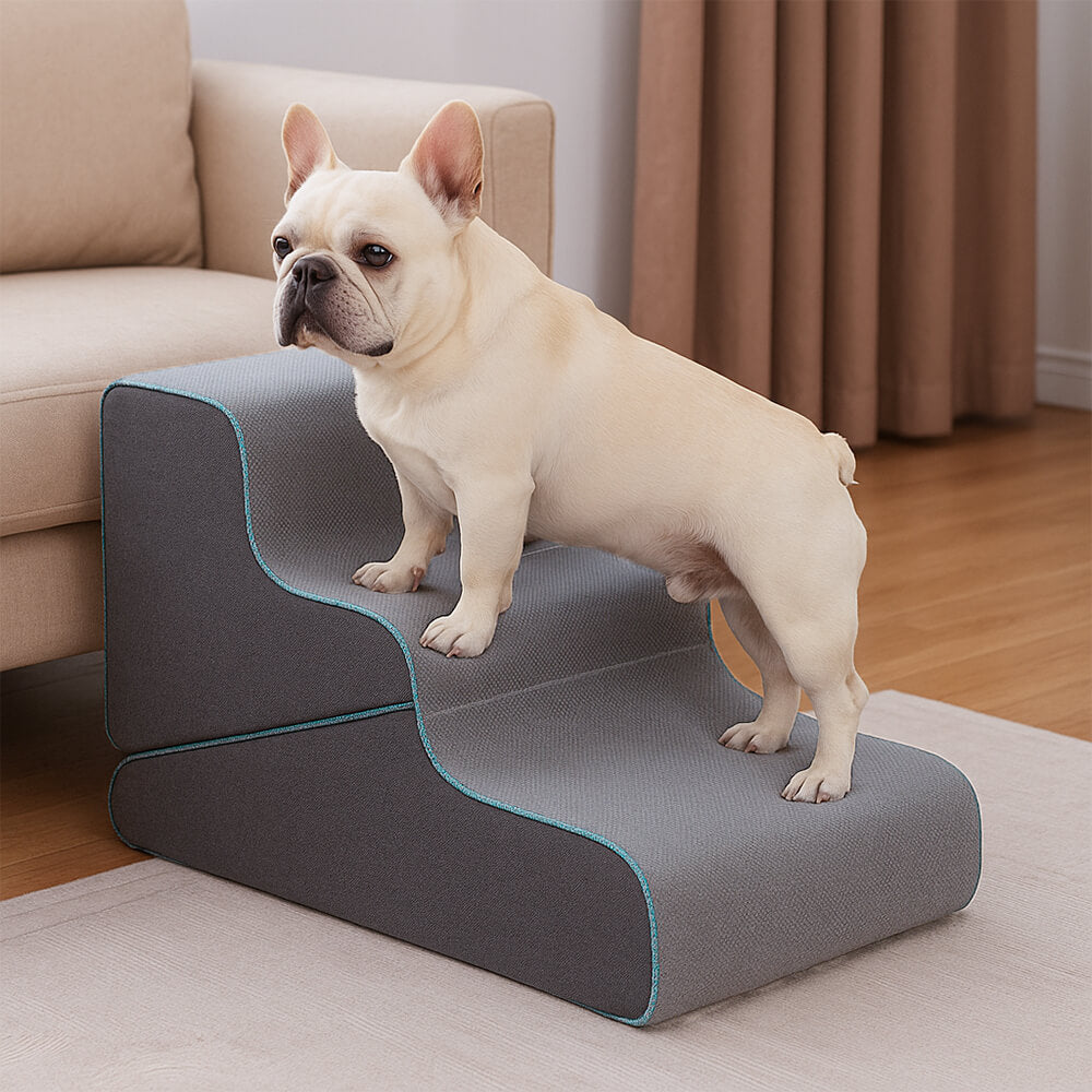 Scale per cani pieghevoli multifunzionali 2 in 1 con modalità rampa
