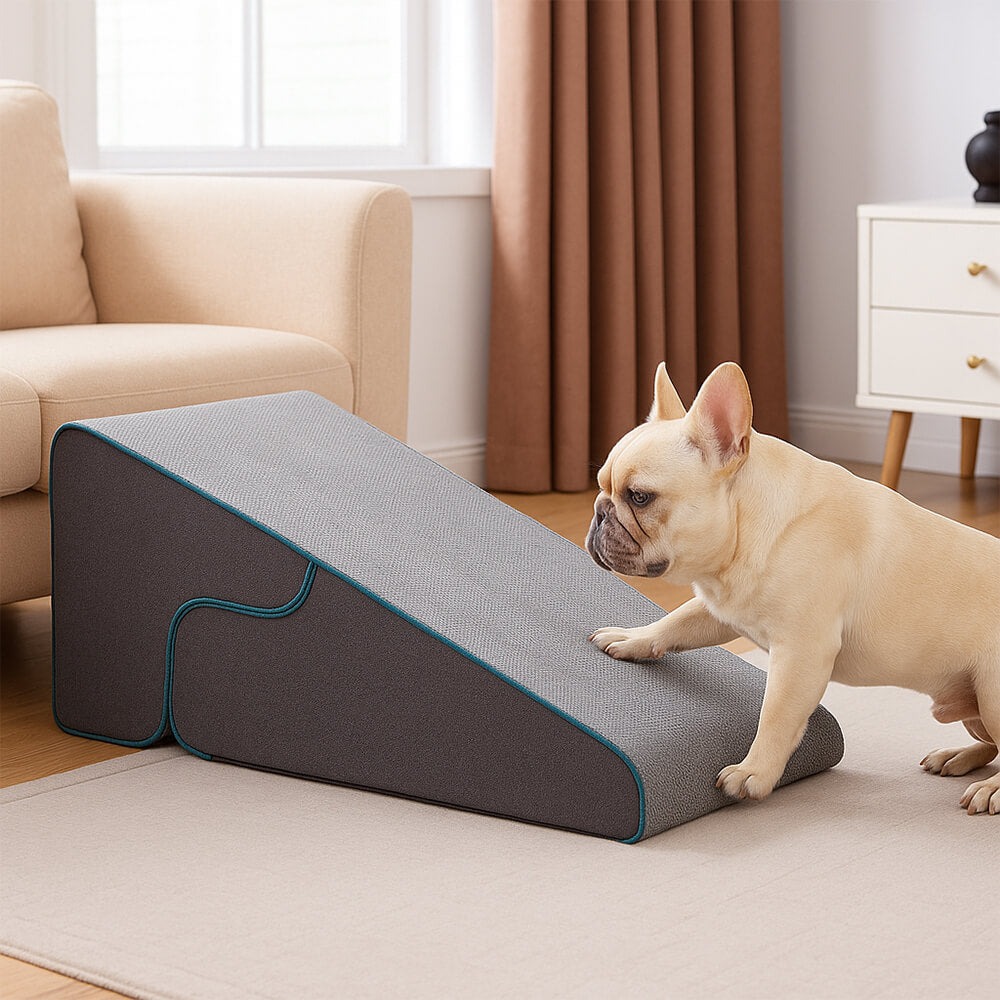 Scale per cani pieghevoli multifunzionali 2 in 1 con modalità rampa