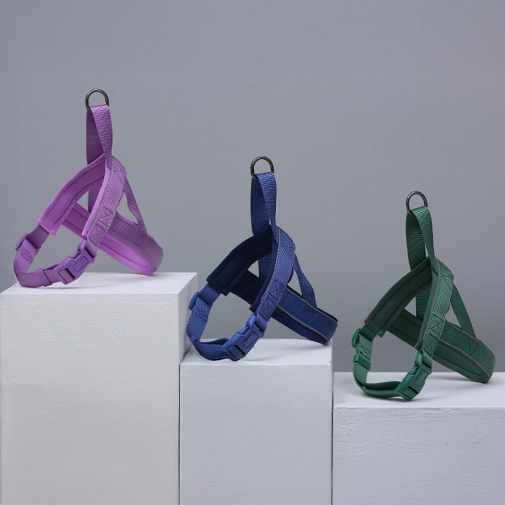 Collare e guinzaglio per cani in nylon riflettente regolabile senza tirare.