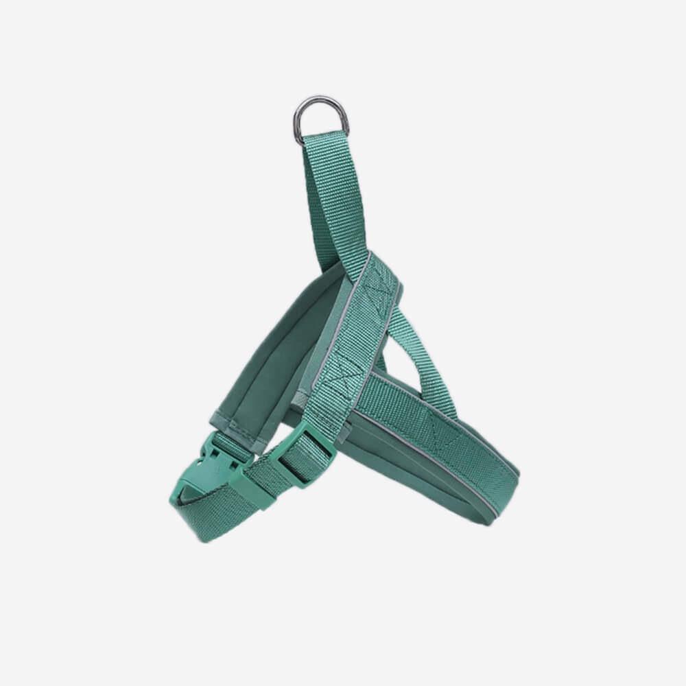 Collare e guinzaglio per cani in nylon riflettente regolabile senza tirare.