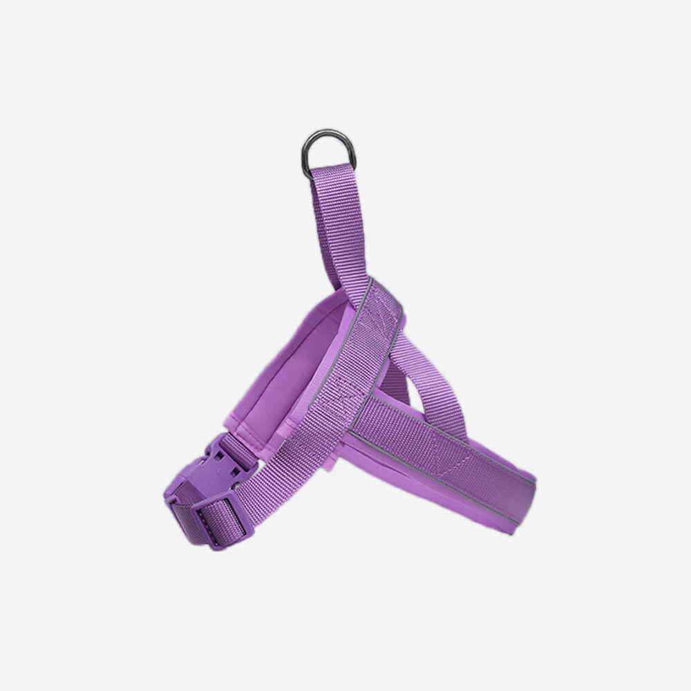 Collare e guinzaglio per cani in nylon riflettente regolabile senza tirare.