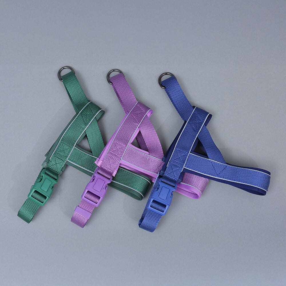 Collare e guinzaglio per cani in nylon riflettente regolabile senza tirare.