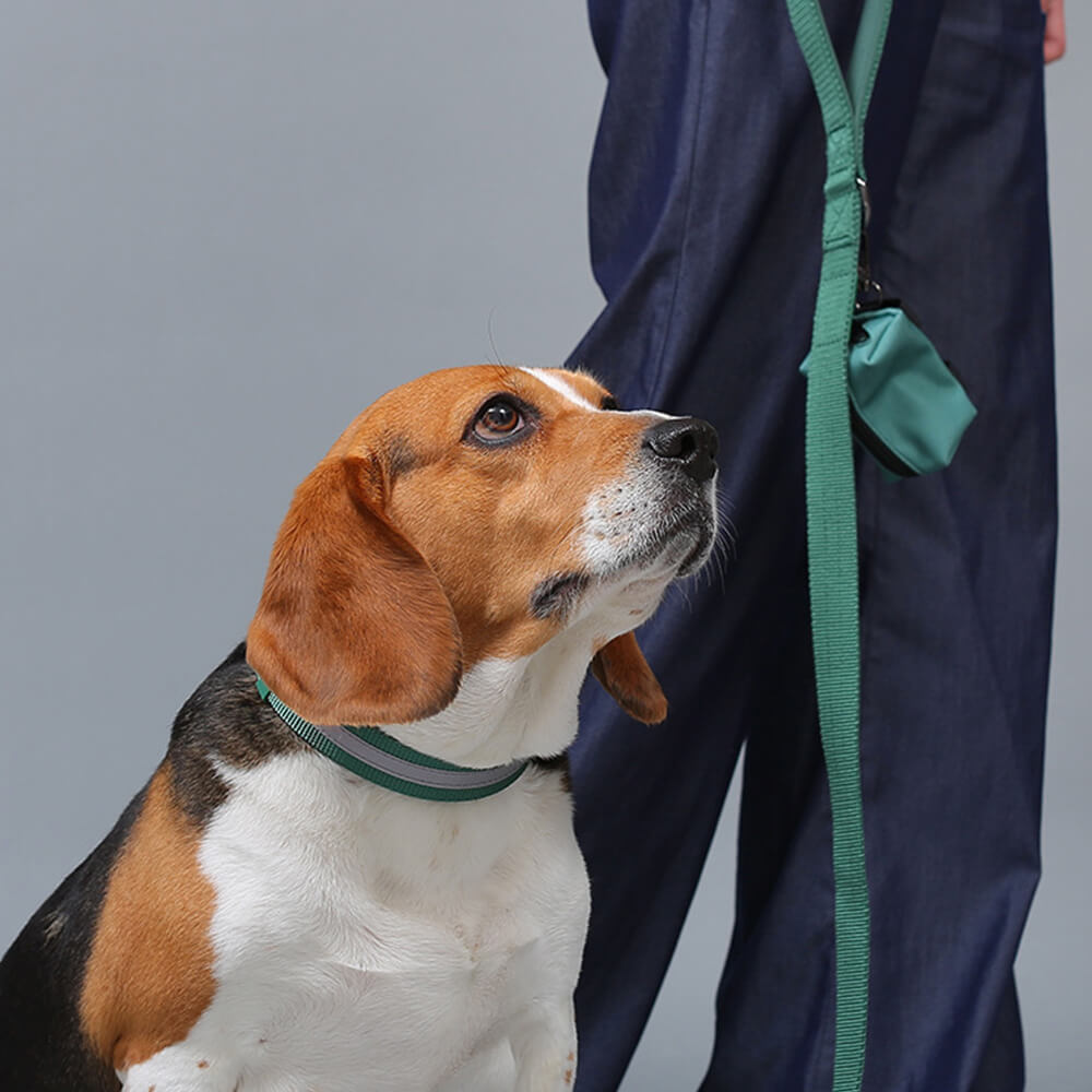 Collare e guinzaglio per cani in nylon riflettente regolabile senza tirare.