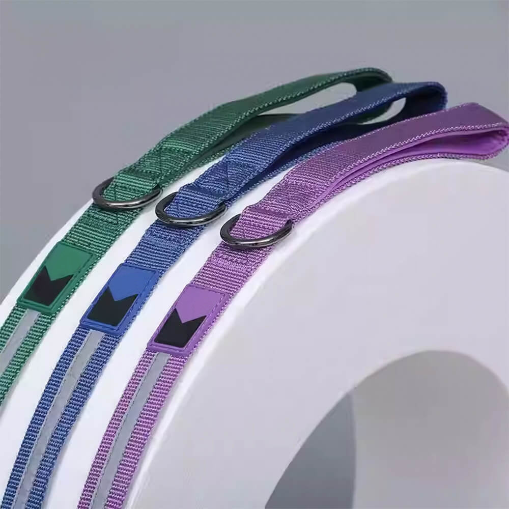 Collare e guinzaglio per cani in nylon riflettente regolabile senza tirare.