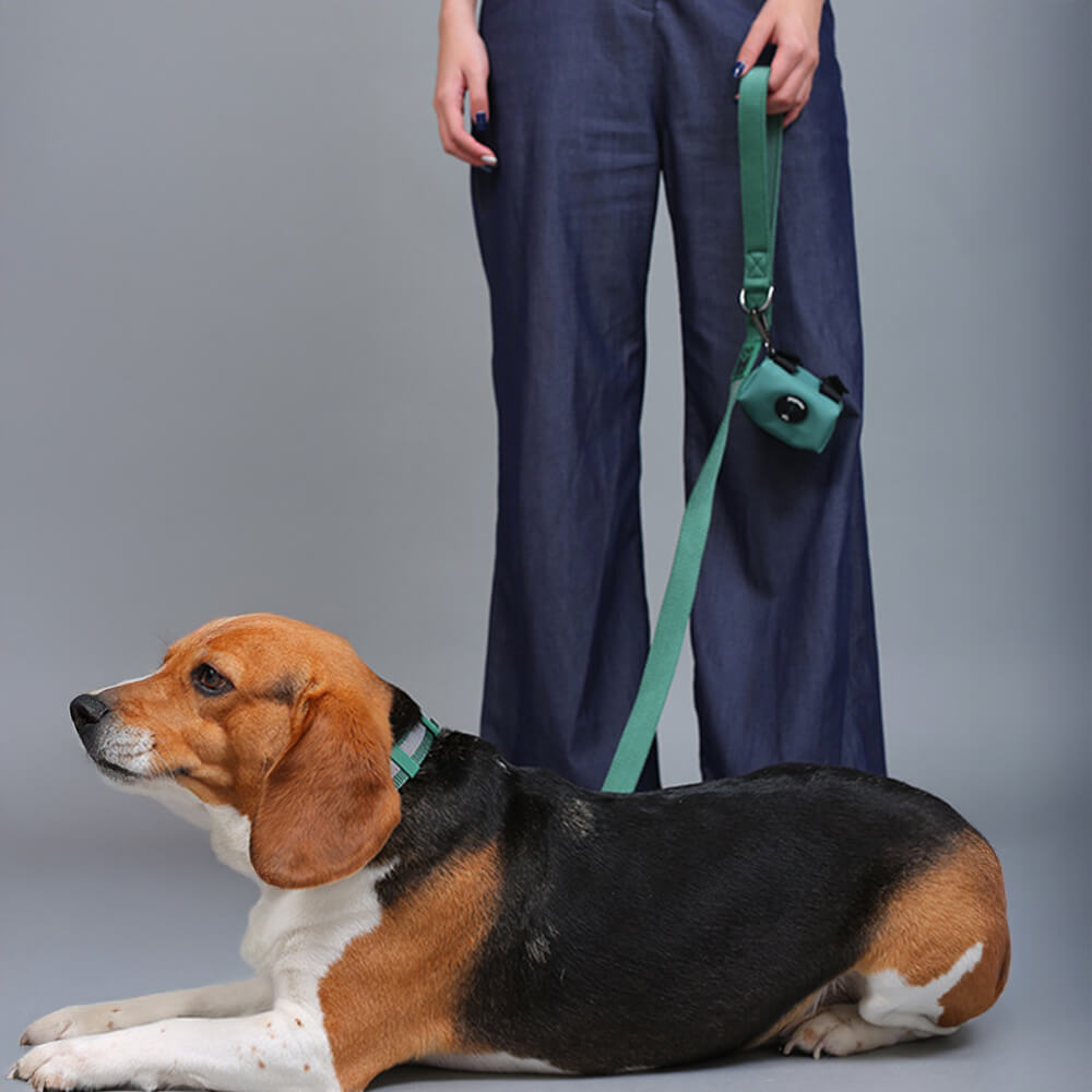 Collare e guinzaglio per cani in nylon riflettente regolabile senza tirare.