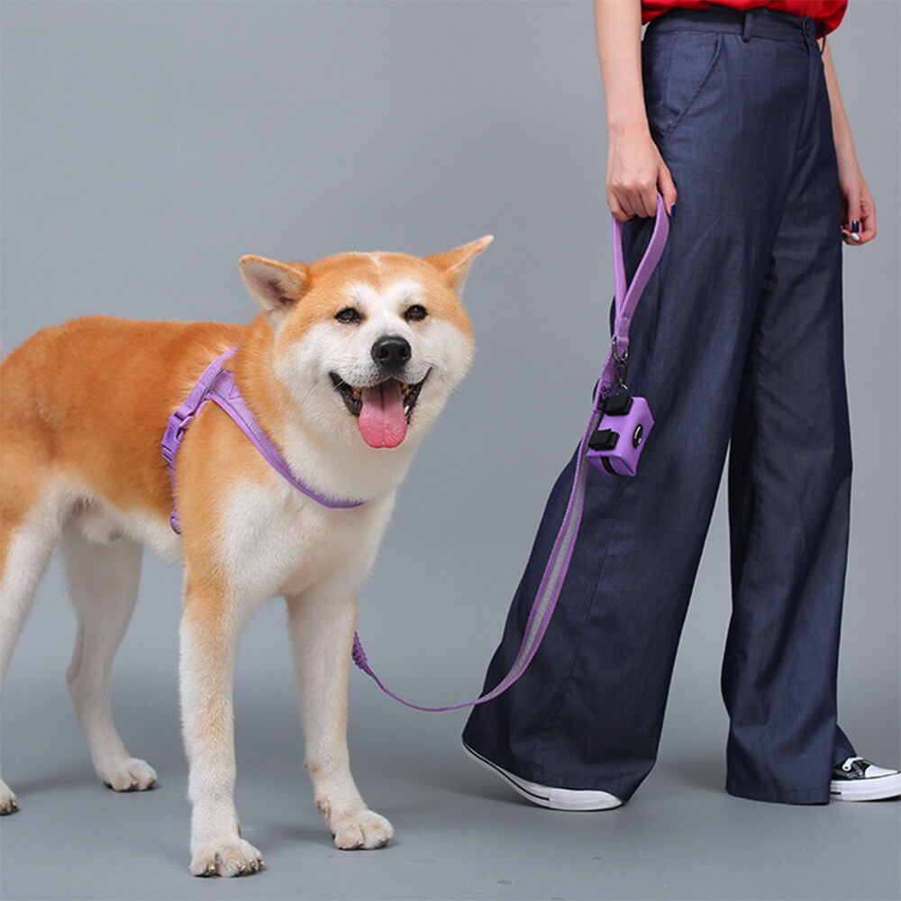 Collare e guinzaglio per cani in nylon riflettente regolabile senza tirare.