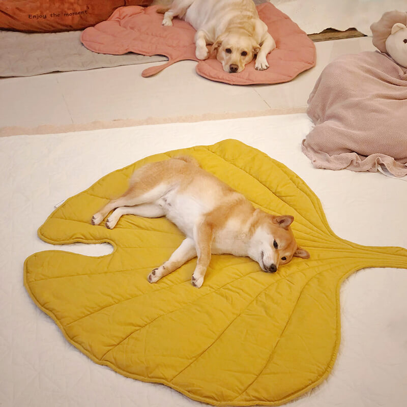 Coperta per cani a forma di foglia