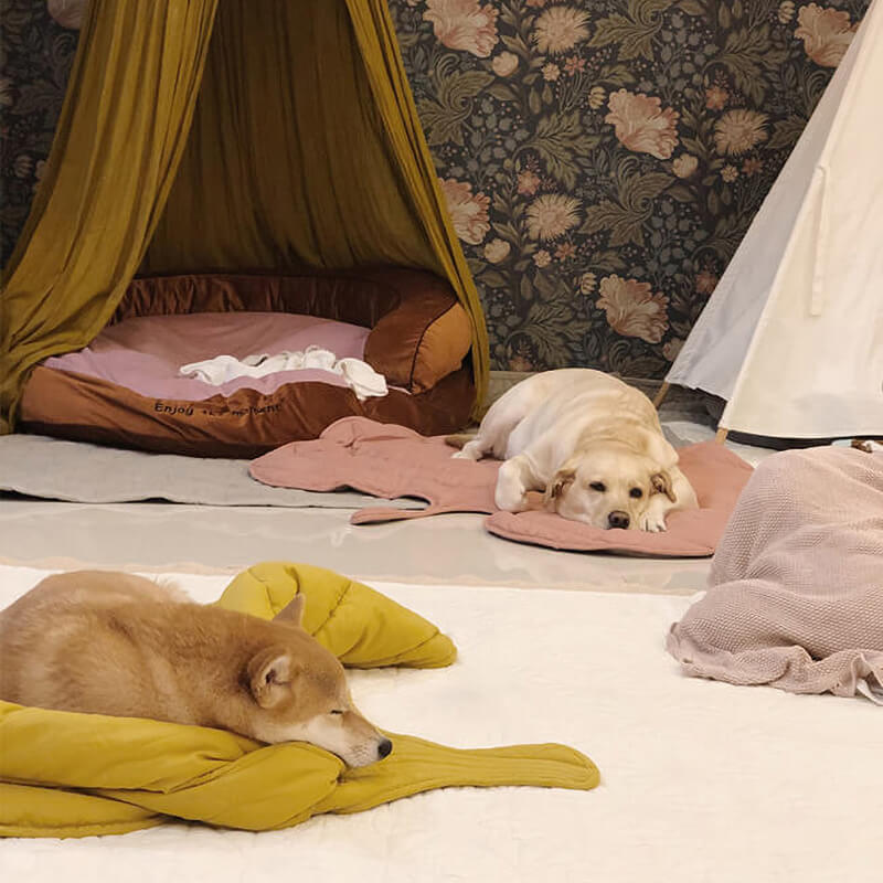 Coperta per cani a forma di foglia