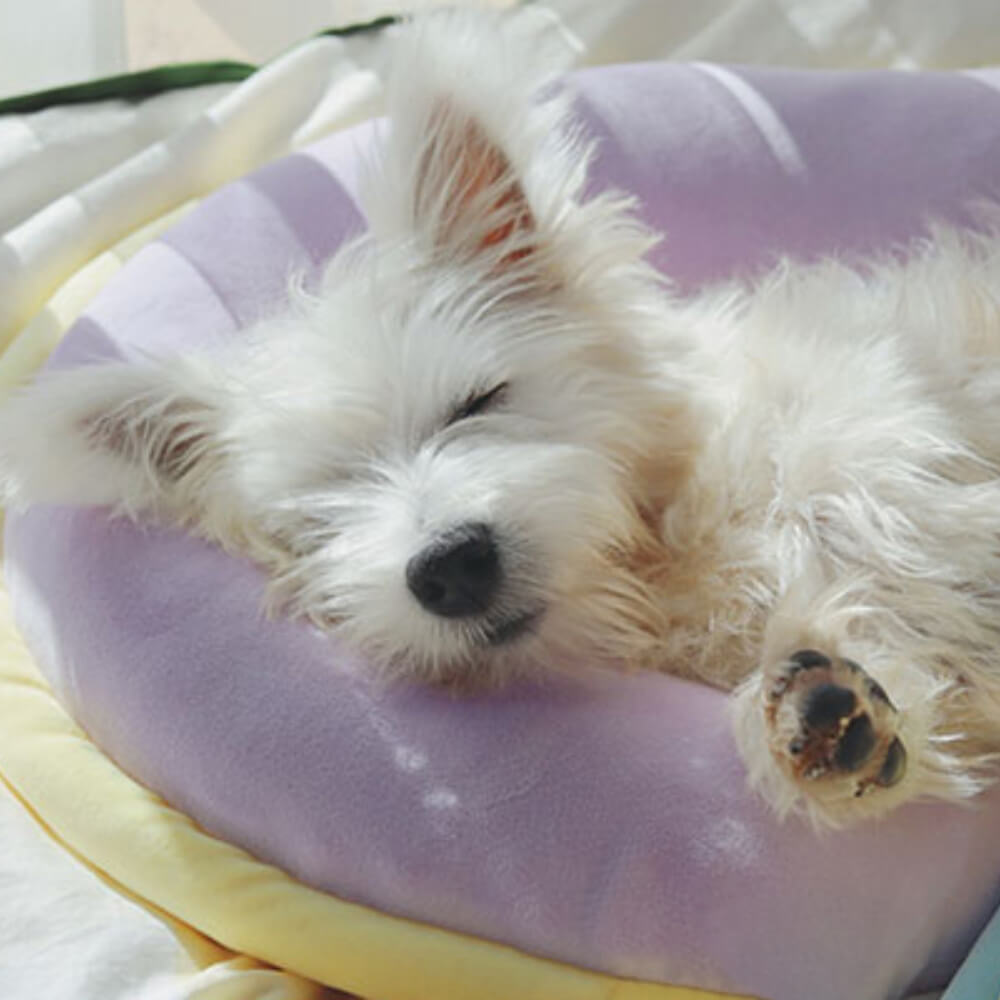 Cuscino ortopedico per il supporto della colonna vertebrale per cani.