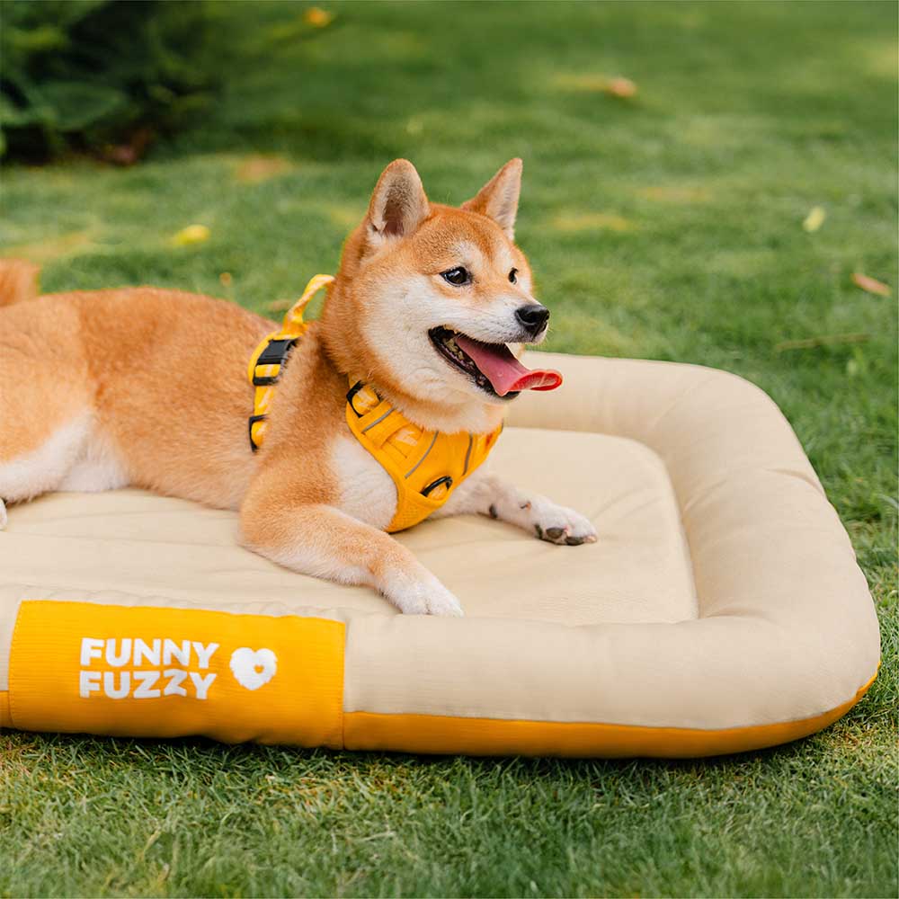 Tappetino ortopedico per cani resistente all'acqua e ai graffi, con colori a blocchi - Trek Lounge