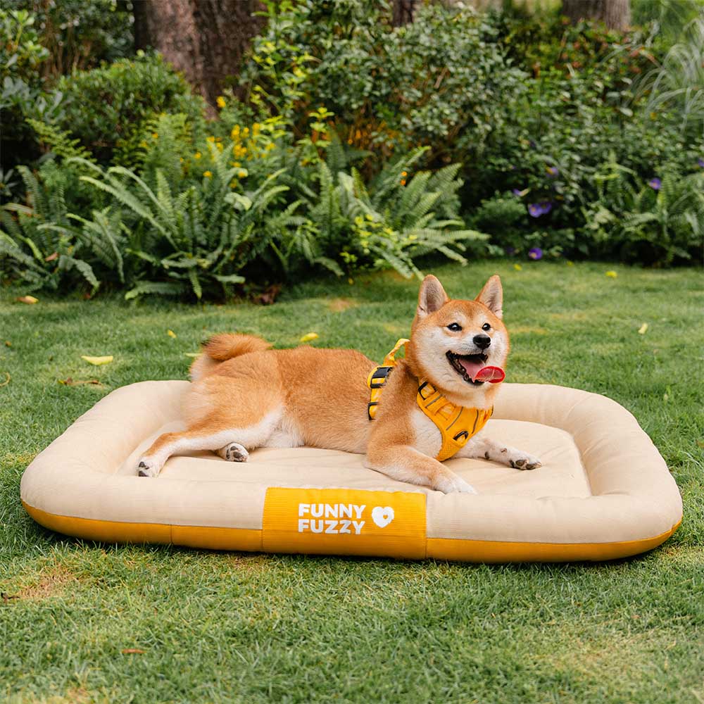 Tappetino ortopedico per cani resistente all'acqua e ai graffi, con colori a blocchi - Trek Lounge