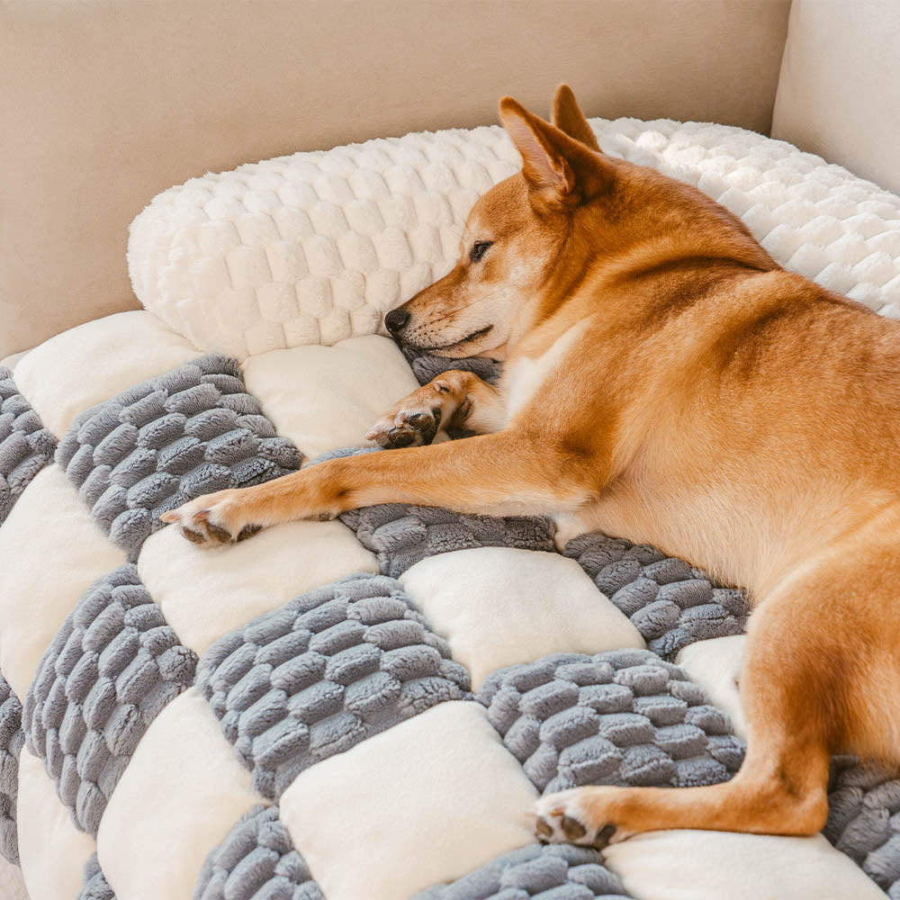 Protezione per Divano Plaid Cozy - SnugPad per Cani