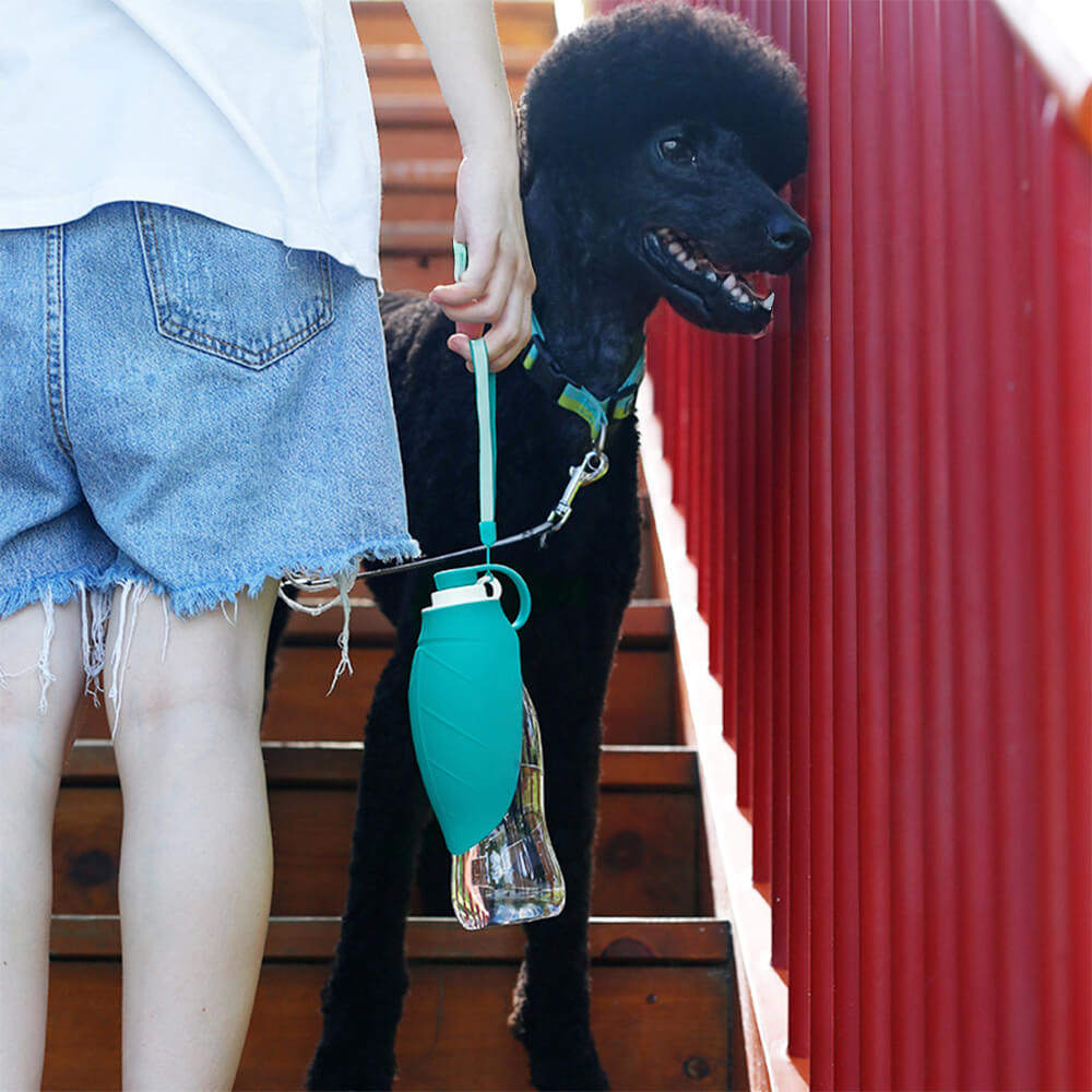 Distributore d'acqua portatile a forma di foglia per esterni, bottiglia d'acqua per cani.