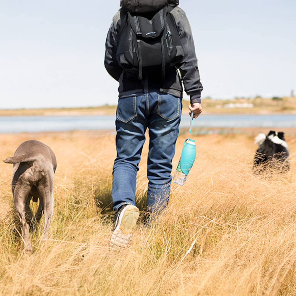 Distributore d'acqua portatile a forma di foglia per esterni, bottiglia d'acqua per cani.