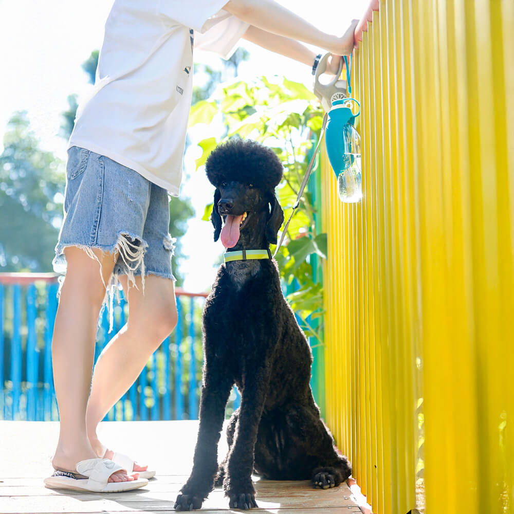 Distributore d'acqua portatile a forma di foglia per esterni, bottiglia d'acqua per cani.