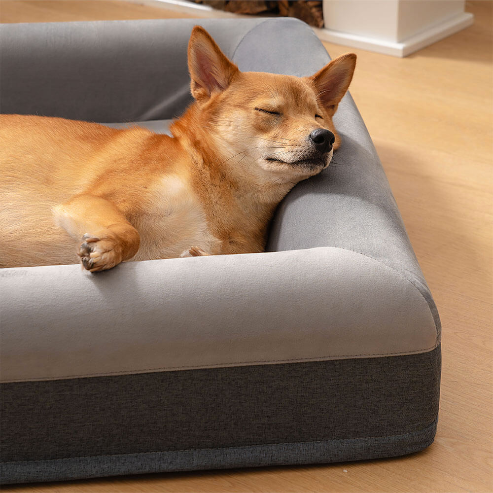 Letto ortopedico premium per cani, sonno beato con gioco gioioso, letti per scavare.