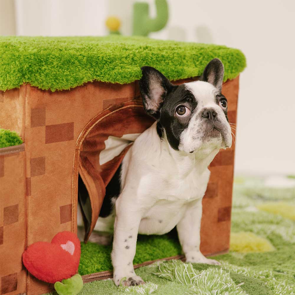 Scale per animali domestici pieghevoli artigianali Retro Pixel con stoccaggio - Blocky PawGame