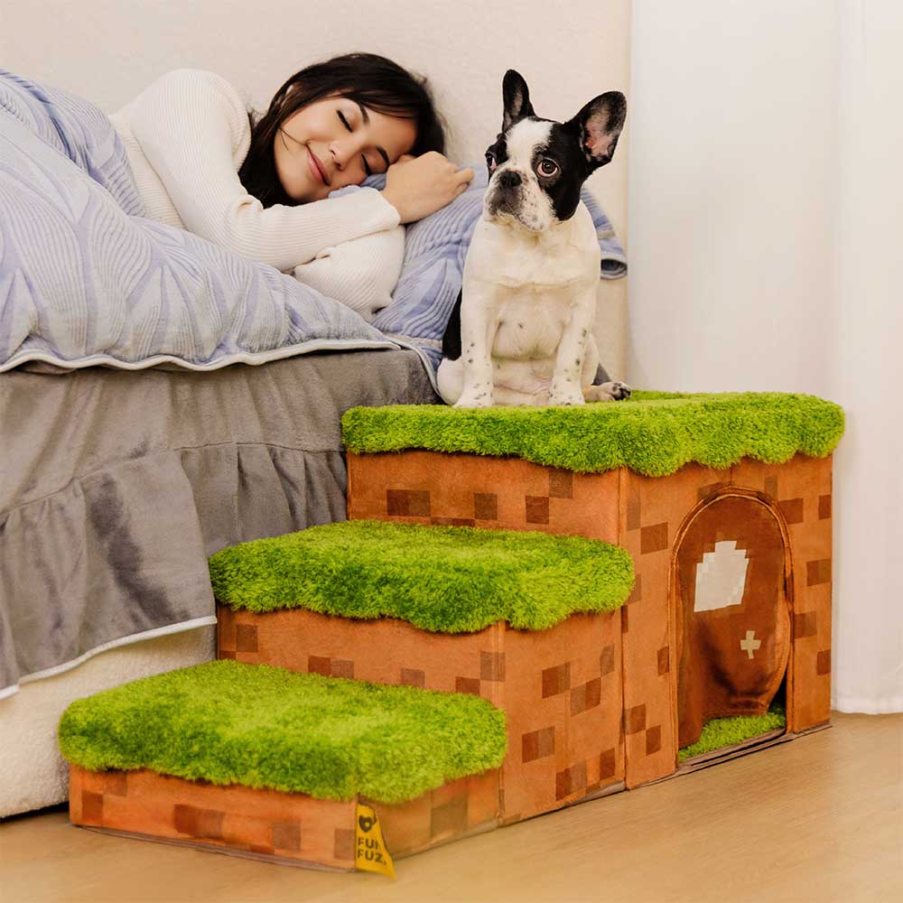 Scale per animali domestici pieghevoli artigianali Retro Pixel con stoccaggio - Blocky PawGame