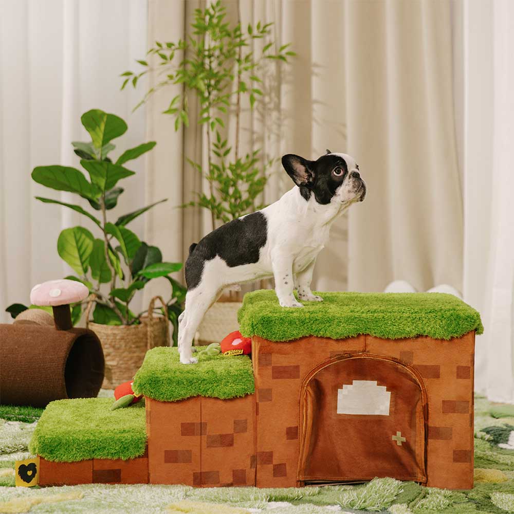 Scale per animali domestici pieghevoli artigianali Retro Pixel con stoccaggio - Blocky PawGame
