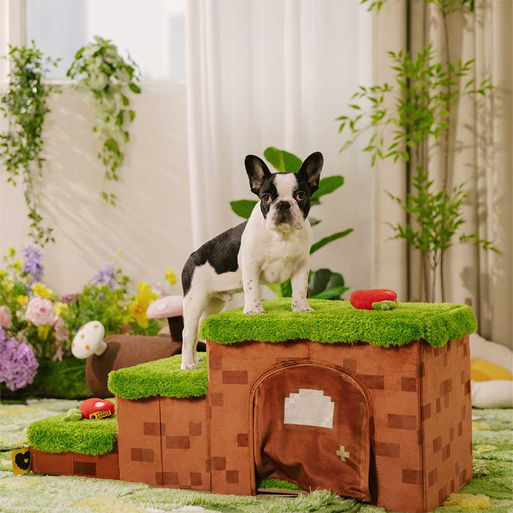 Scale per animali domestici pieghevoli artigianali Retro Pixel con stoccaggio - Blocky PawGame