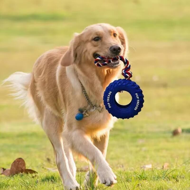 Giocattolo interattivo in gomma per cani, per la dentizione e masticazione.