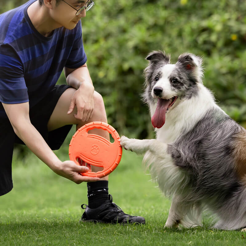 Gioco interattivo per cani a forma di disco volante in gomma per volante