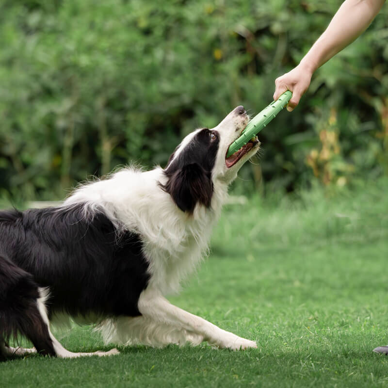 Gioco interattivo per cani a forma di disco volante in gomma per volante